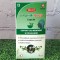 BRAHMI PLUS, 60 de capsule